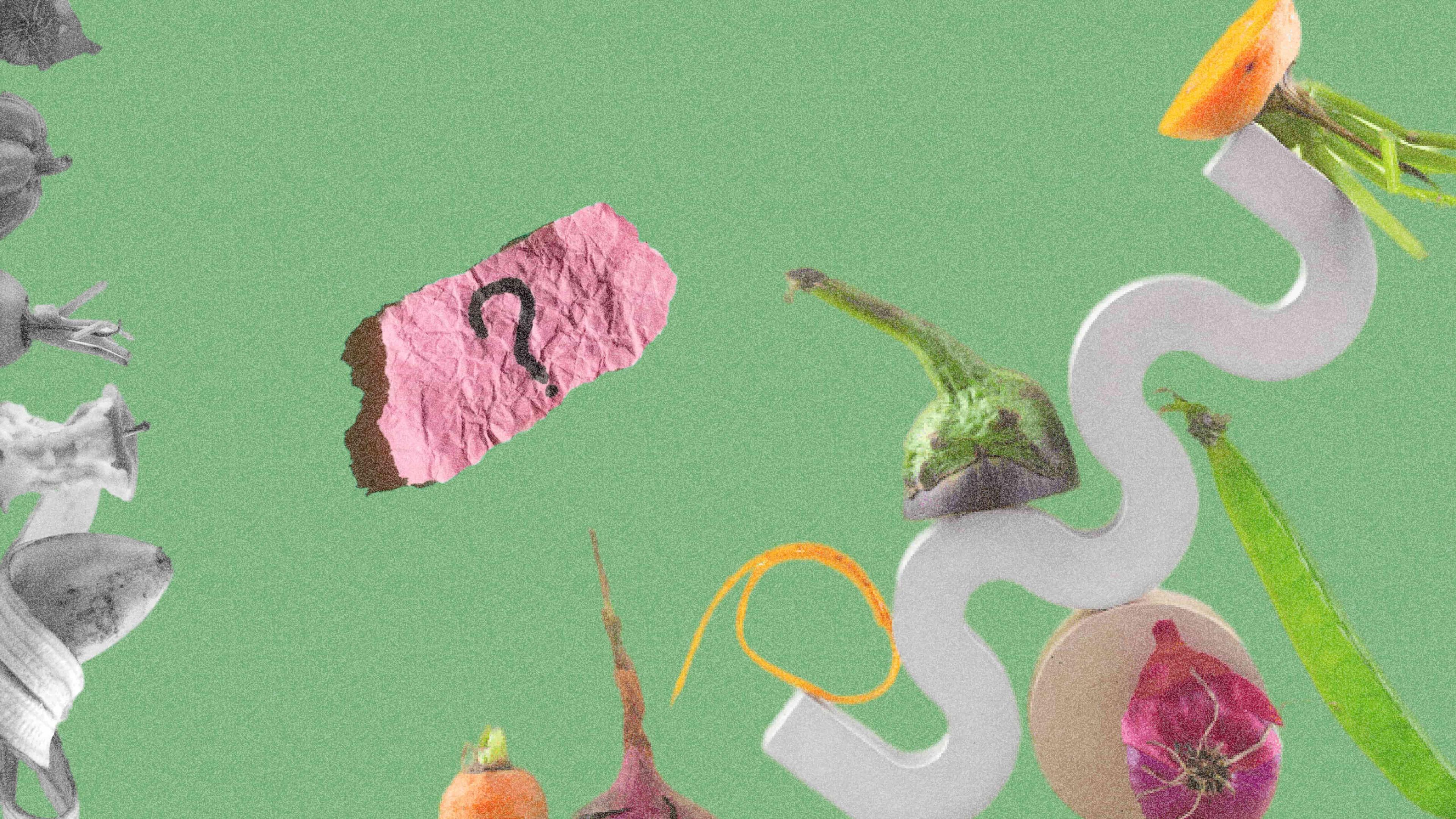 Рациональное питание современного человека: основы и принципы