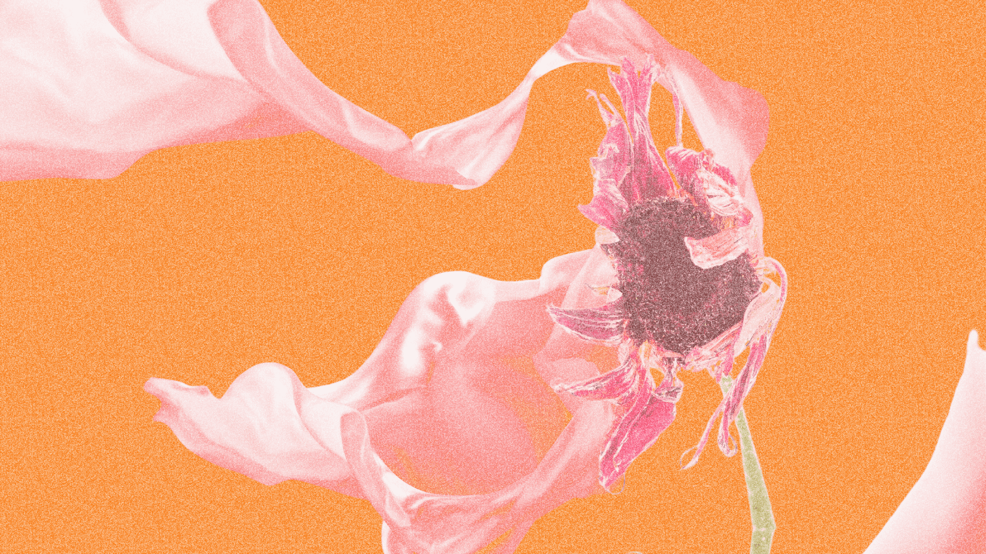 Почему любовь проходит и как вовремя заметить это